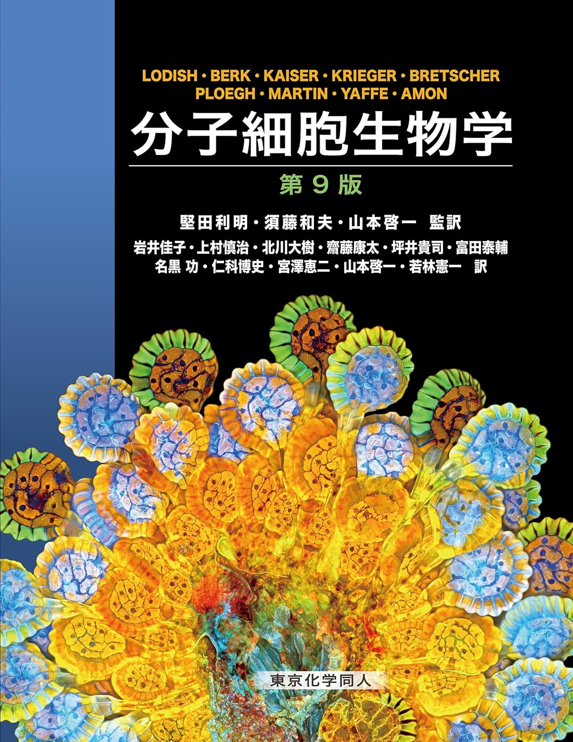 分子細胞生物学 第9版