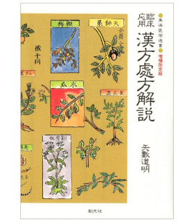 臨床応用 漢方処方解説:増補改訂版（東洋医学選書）